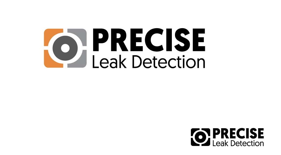 Precise Leak Detection