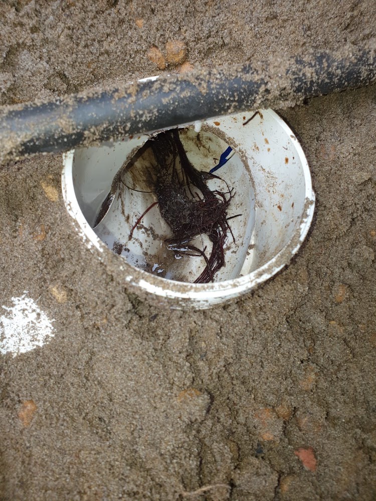 Proficient Drain Services